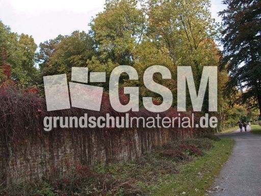 B-Herbststimmung 033.jpg